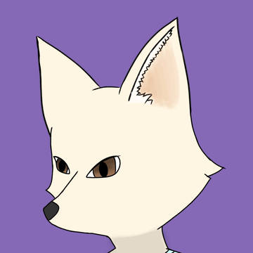 Cami the fennec fox