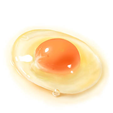生卵