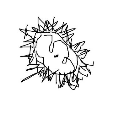 真鍋祐磨の雲丹