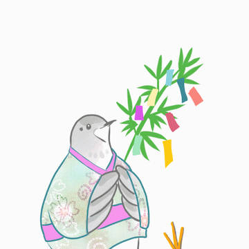 七夕ひめうずら