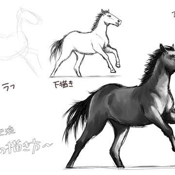 自己流、馬の描き方