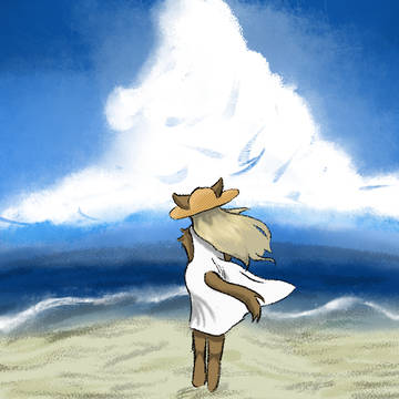 海と砂浜