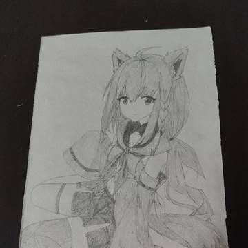 屌狐狸