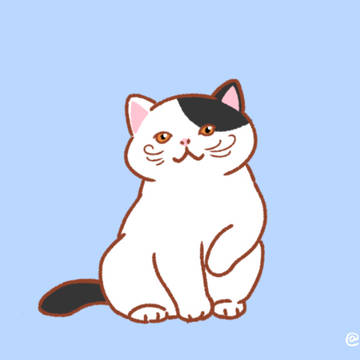 【8/8】世界猫の日
