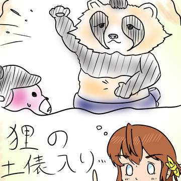 狸の土俵入り