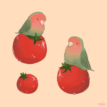 コザクラインコとトマト