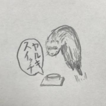 ヤルキスイッチ
