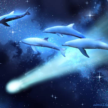 彗星を追うイルカたち