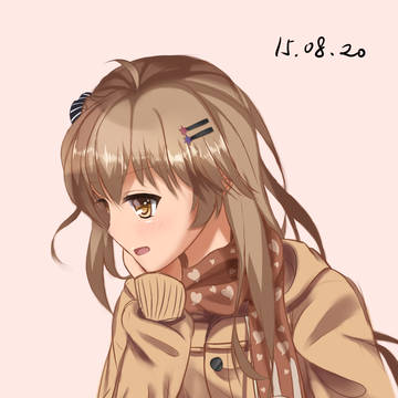 冬装菊