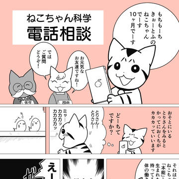 ねこちゃん電話科学相談‐おくちがカカカッていいます！