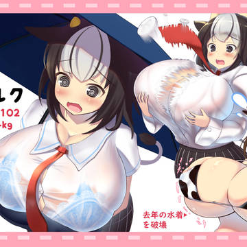 美濃シルク紹介