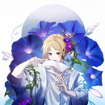 朝顔