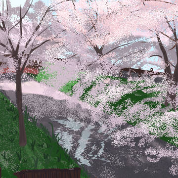 桜