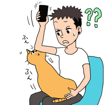 ヒジを執拗に嗅ぐお猫様