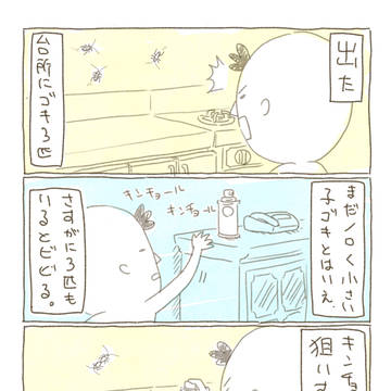 ゴキ3匹