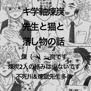 キ学軸煉炭 先生と猫と落し物の話