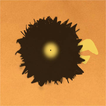 BLACK BIRD