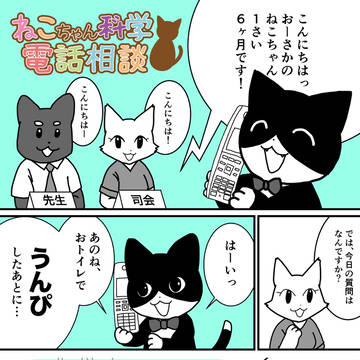 ねこちゃん電話科学相談-02-○○のあと、走り回りたくなります！