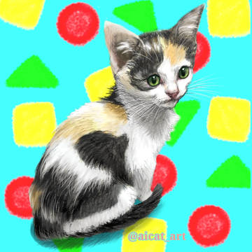 三毛猫めるちゃんだぞぉ〜️🖍