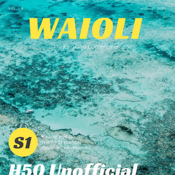 エア雑誌Waioli ハワイファイブオー　シーズン1まとめ
