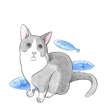 猫とサバ