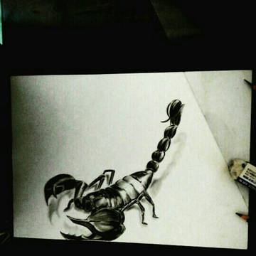鉛筆画　蠍