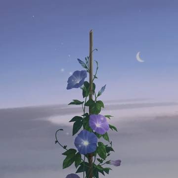 アサガオ
