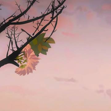 八月の夕方に咲く桜、