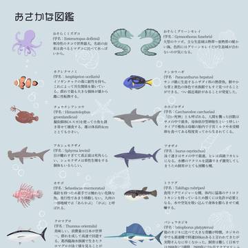 おさかな図鑑