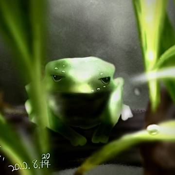 カエル