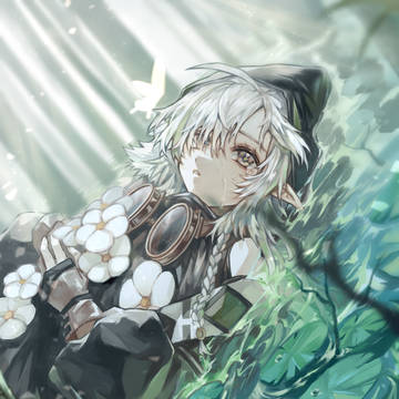 TOMIMI