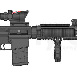 SR-25?