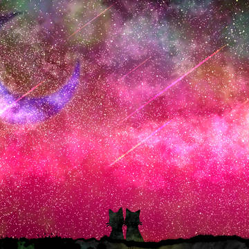 星に願いを