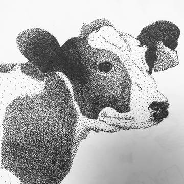 黒