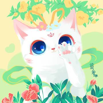 给贵妃喵拍个照