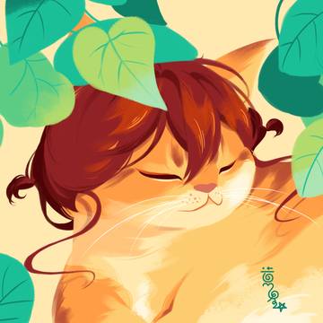 猫薄荷