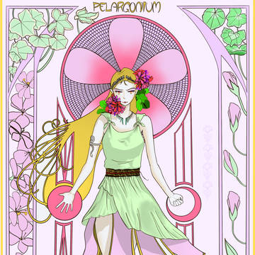 Pelargonium