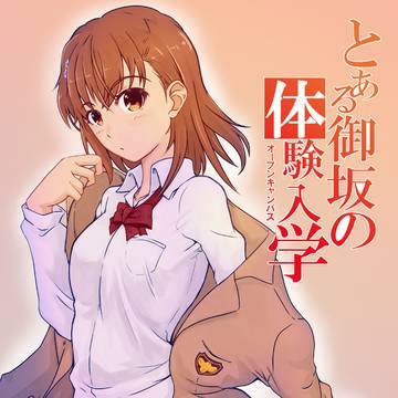 とある御坂の体験入学