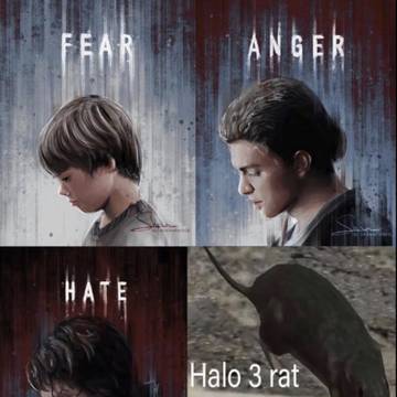 The four stages of evolution