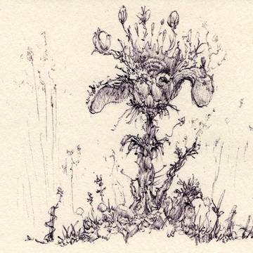 flower 01