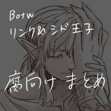 【腐向け】リンク・シド王子まとめ