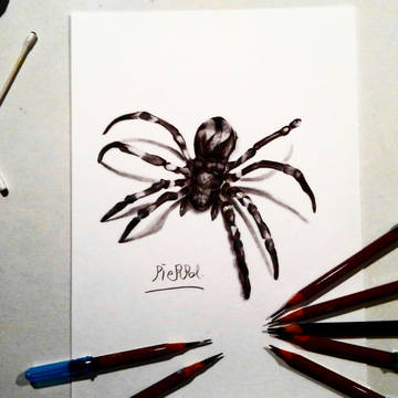鉛筆画