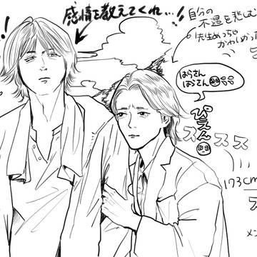 コトーまとめ①
