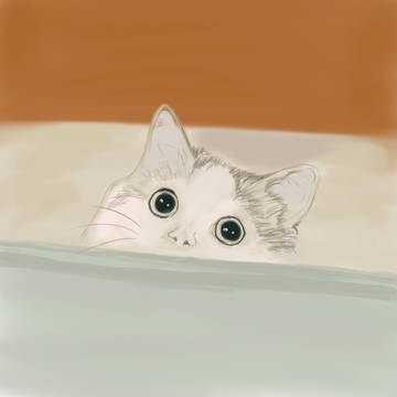 可爱猫猫