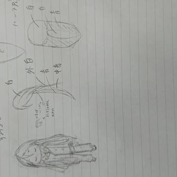クオーターの鮫の人魚