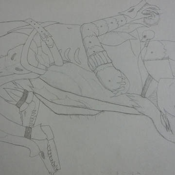 骸龍オストガロア