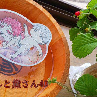 赤司くんと黛さん40(7月)