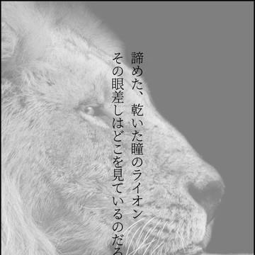 出会い、想い、そして……