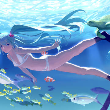 海