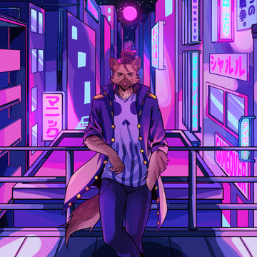 シニカルナイトプラン